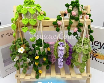 Crochet Hanging Plant Pattern: Car & Wall Decor (Digital Download)