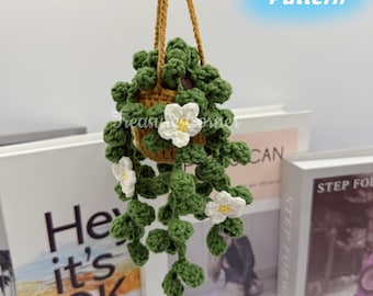May include: A crocheted hanging plant with green leaves and white flowers in a brown pot. The plant is hanging from a brown cord.