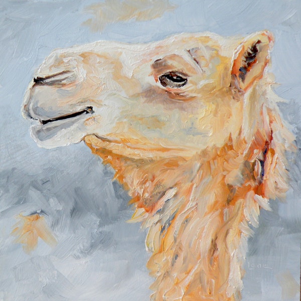 Cam - a Camel