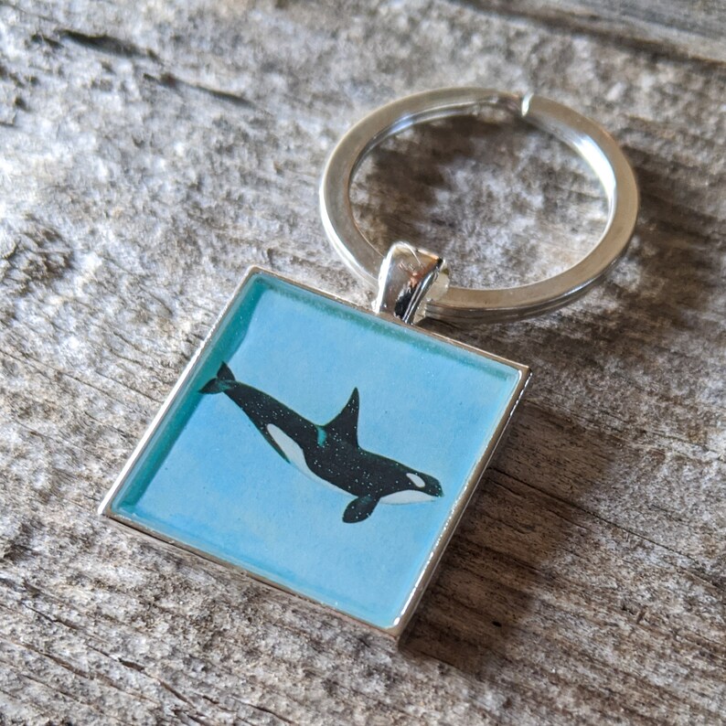Orca Keychain or Pendant Killer Whale Vintage Encyclopedia Etsy