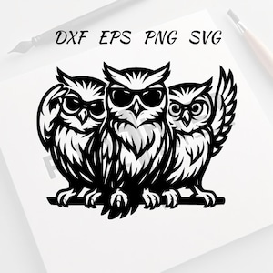 Owl With Sunglasses Svg - Owl Png - Owl Clipart - Owl Vector Bundle Pack - Cool Owl Vector Set with Hat and Glasses