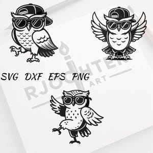 Owl With Sunglasses Svg - Owl Png - Owl Clipart - Owl Vector Bundle Pack - Cool Owl Vector Set with Hat and Glasses