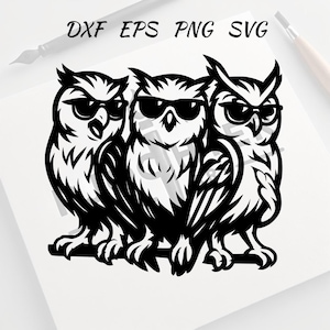 Owl With Sunglasses Svg - Owl Png - Owl Clipart - Owl Vector Bundle Pack - Cool Owl Vector Set with Hat and Glasses