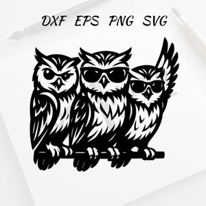 Owl With Sunglasses Svg - Owl Png - Owl Clipart - Owl Vector Bundle Pack - Cool Owl Vector Set with Hat and Glasses