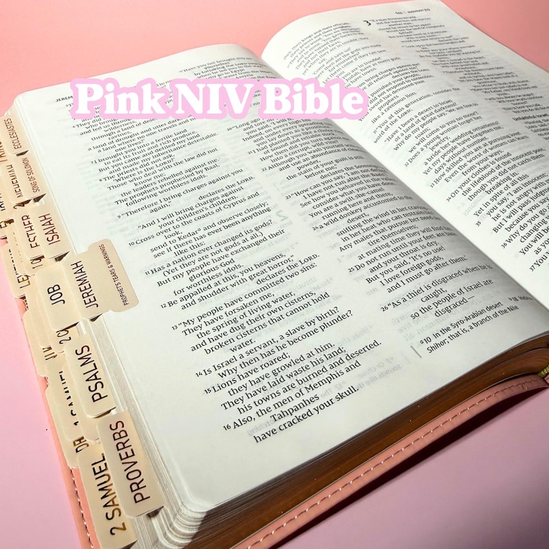 May include: An open Bible with white pages and black text, featuring beige index tabs labeled with book names like Proverbs, Psalms, Job, and Jeremiah. The text Pink NIV Bible is overlaid in white on the upper left page of the open book.
