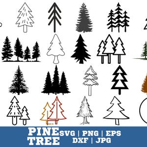 Pine Tree SVG Bundle | Evergreen Tree Clipart, Forest Silhouettes | Cut Files for Cricut and Silhouette - png, eps, dxf Formats
