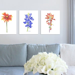 Watercolor Wildflowers Art Print Set of 3 Texas Floral Paintings Unframed