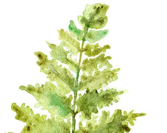 Fern Watercolor Painting - 8 x 10 - Giclee Print - 8.5x11 Green Foliage Botanical Art Print UNFRAMED