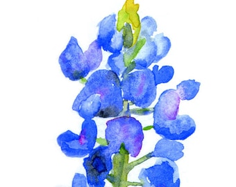 Texas Bluebonnet Watercolor Painting Giclee Print Floral Flower Fine Art UNFRAMED