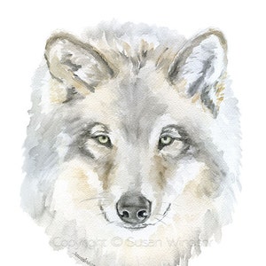 Grey Wolf Watercolor Painting Fine Art Giclee Reproduction Woodland Animal Art Print Unframed image 2