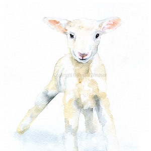 White Baby Lamb Watercolor Painting Large Print UNFRAMED image 2