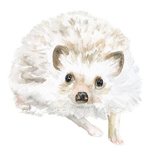 Hedgehog Watercolor Painting Giclee Print Reproduction - Hedgie Art - Woodland Animal Nursery Decor Unframed