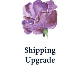 CUSTOM LISTING for Priority Mail Shipping Upgrade