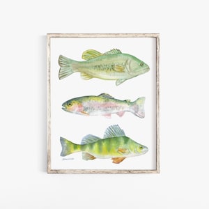 Three Fish Watercolor Print - Fishing Art - Fisherman Painting - Bass, Trout, Perch Unframed