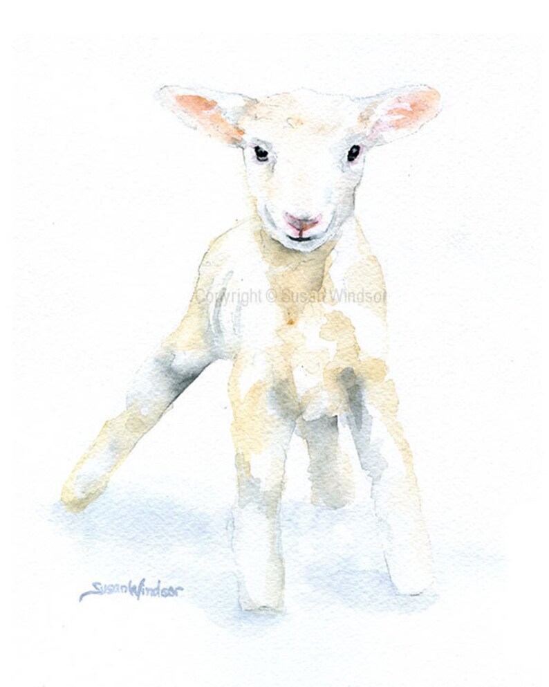 White Baby Lamb Watercolor Painting Large Print UNFRAMED image 2