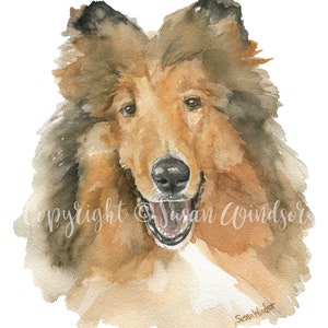 Collie Watercolor Painting Giclee Print Preproduction Reveille Portrait A&M UNFRAMED afbeelding 2
