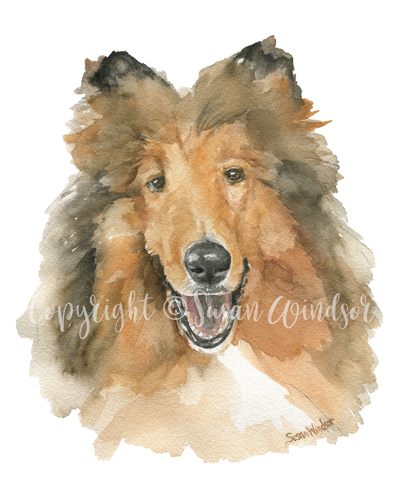 Collie Watercolor Painting Giclee Print Preproduction Reveille Portrait A&M UNFRAMED afbeelding 2