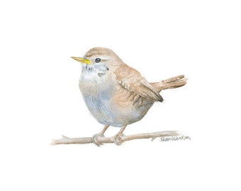 Wren Bird Watercolor Painting Giclee Print - Woodland Animal - Bird Art UNFRAMED