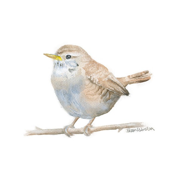 Wren Bird Watercolor Painting Giclee Print - Woodland Animal - Bird Art UNFRAMED