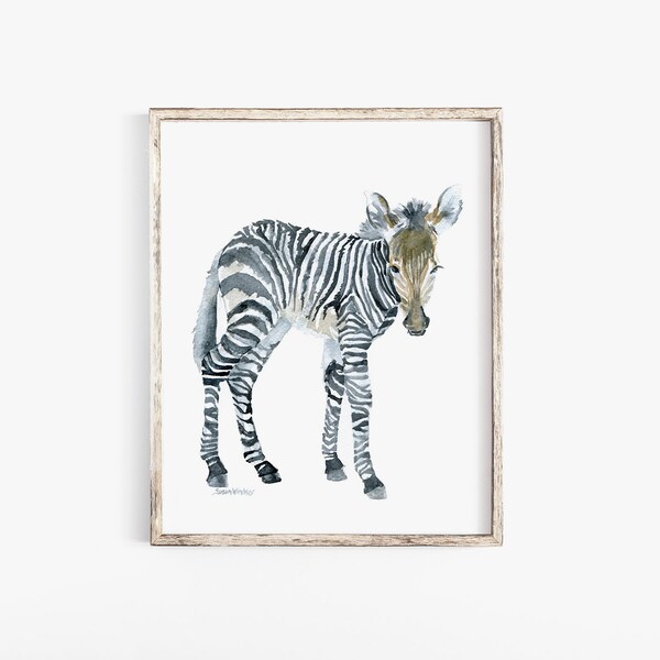 Baby Zebra Watercolor Painting Giclee Print African Jungle Animal Art UNFRAMED