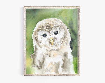 Barred Owl Watercolor Painting Giclee Print Unframed