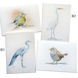 Watercolor Bird Greeting Cards Set of 5 5 x 7 Mix and Match Watercolor painting image 2