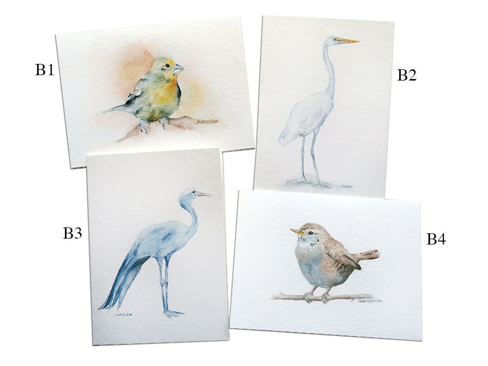 Watercolor Bird Greeting Cards - Set of 5 - 5 X 7 - Mix and Match ...