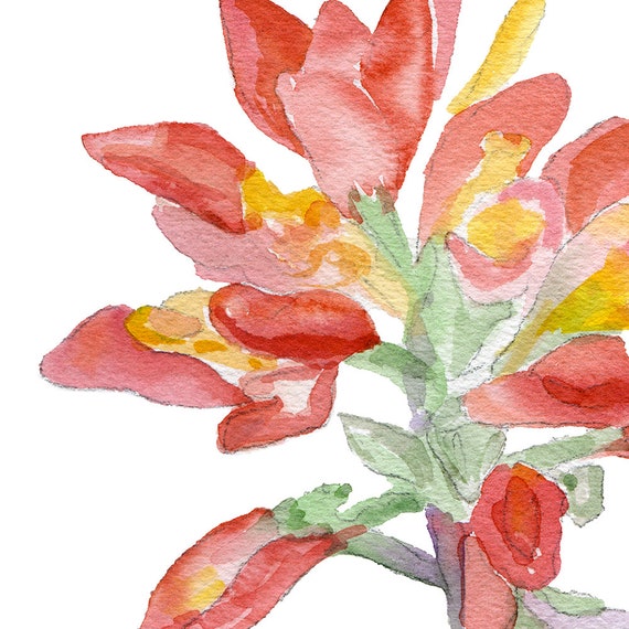 Paintbrush Paintbrush