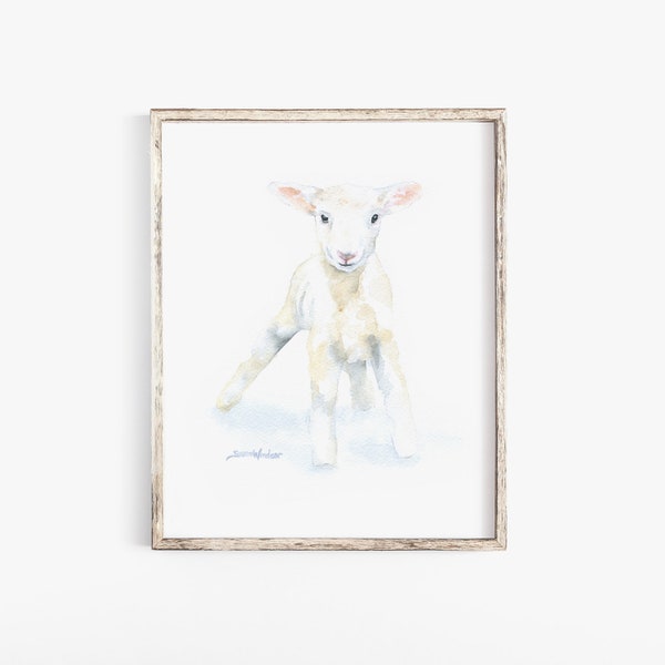 White Lamb Watercolor Painting - 11 x 14 - Giclee Print - Nursery Art