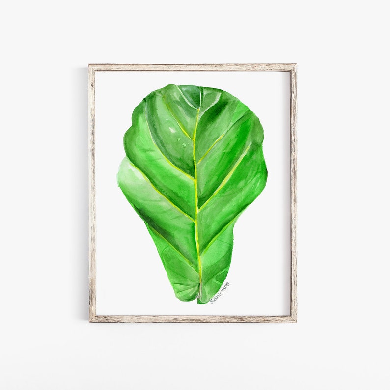 Fiddle Leaf Fig Watercolor Painting 8x10 / 8.5x11 Giclee Reproduction UNFRAMED image 1