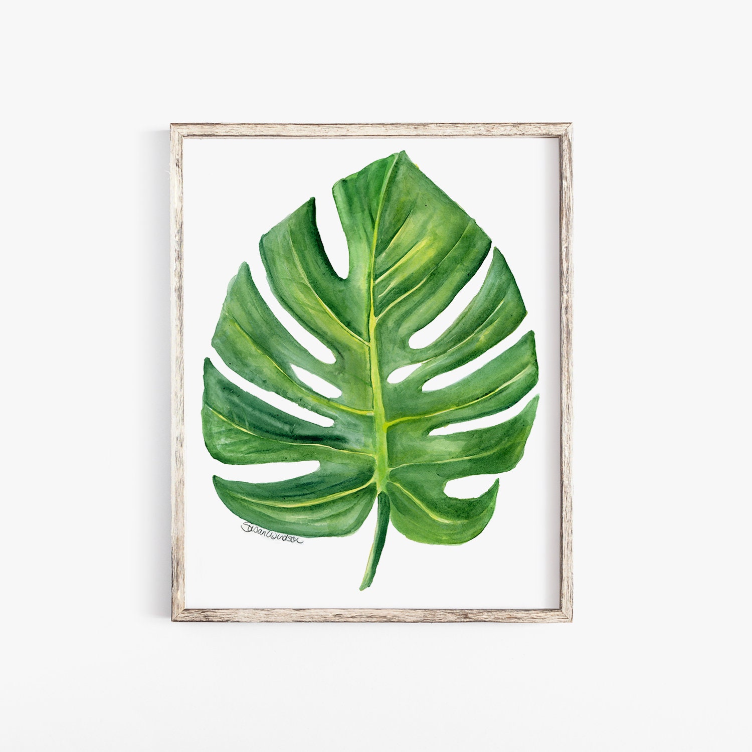 Monstera Leaf Watercolor Painting 8 x 10 Giclee Print | Etsy