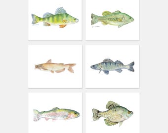 Watercolor Fish Art Prints - Set of 6 - Bass Rainbow Trout Perch Crappie Catfish Walleye - UNFRAMED