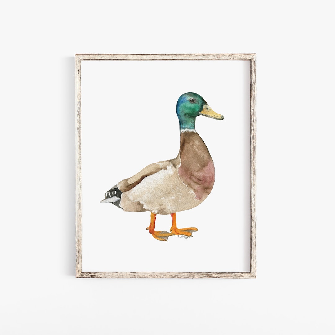 Mallard Duck Wall Art - 3 Pezzi Decorazione Da Parete In