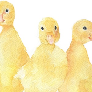 Three Ducklings Watercolor Painting Fine Art Print Giclee Print LANDSCAPE Orientation UNFRAMED image 3