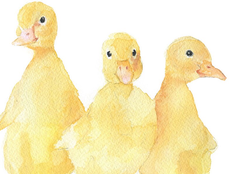 Three Ducklings Watercolor Painting Fine Art Print Giclee Print LANDSCAPE Orientation UNFRAMED image 3