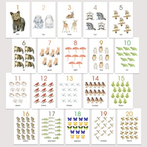 Woodland Watercolor Number Flash Cards - 1-20 - Flora and Fauna