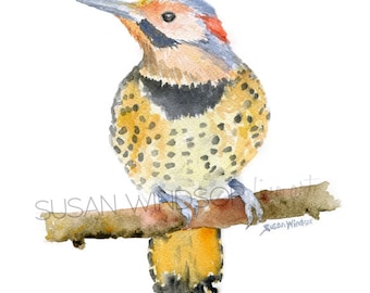 Northern Flicker Watercolor Painting - Giclee Reproduction - Watercolor Painting Fine Art Print UNFRAMED
