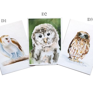 Watercolor Bird Greeting Cards Set of 5 5 x 7 Mix and Match Watercolor painting image 4