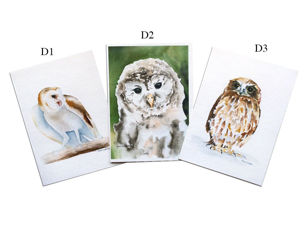 Watercolor Bird Greeting Cards - Set of 5 - 5 X 7 - Mix and Match ...
