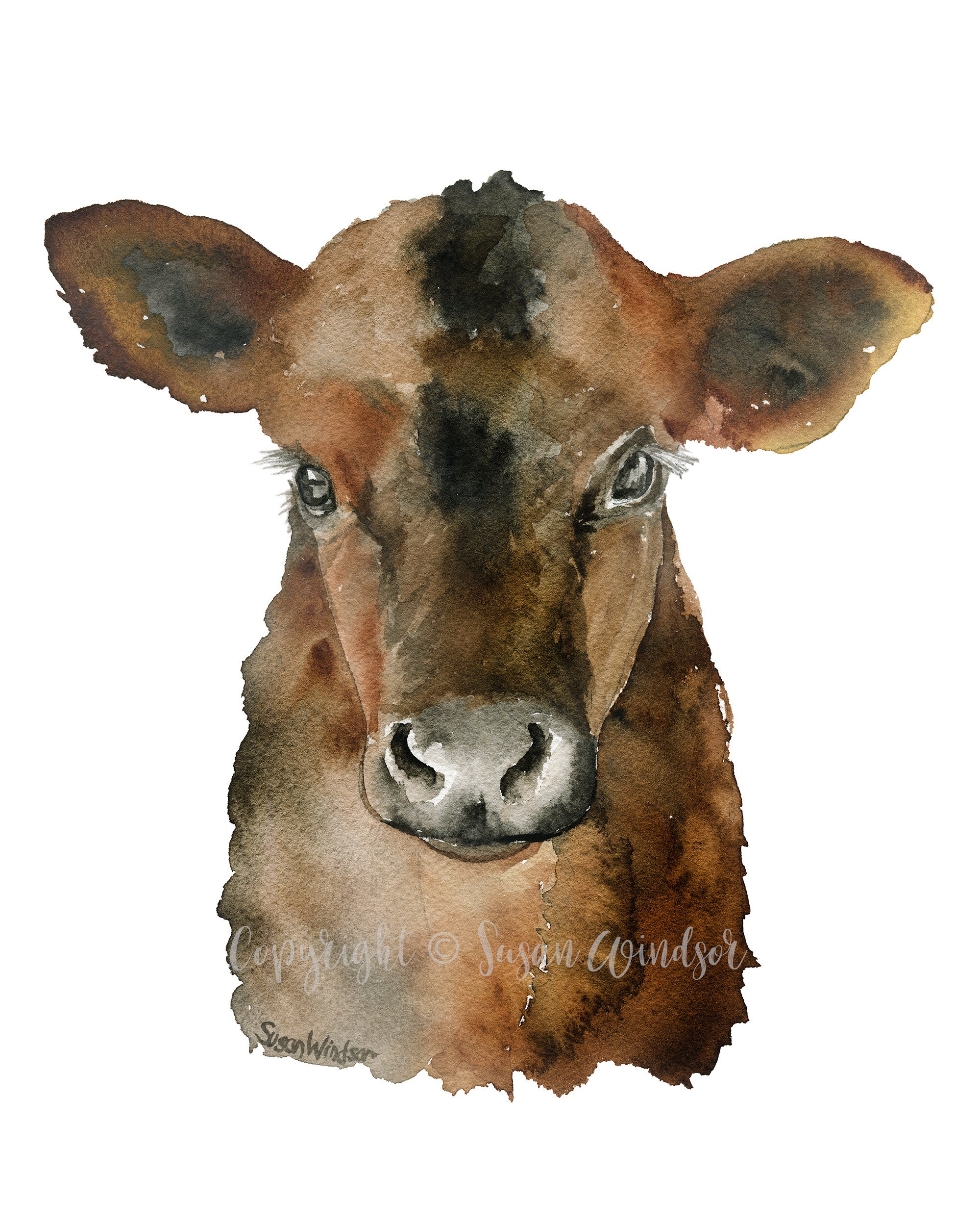 Angus Cow Calf Watercolor Painting Fine Art Giclee Reproduction