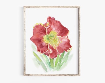 Red Daylily Flower Watercolor Painting Giclee Fine Art Print UNFRAMED