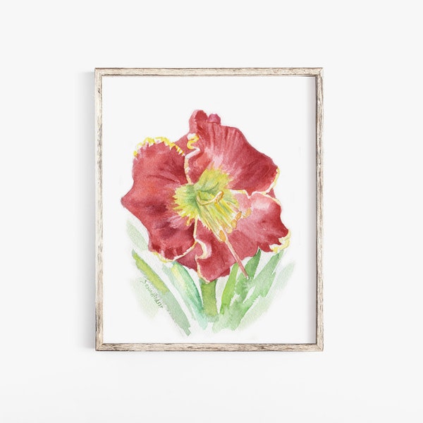 Red Daylily Flower Watercolor Painting Giclee Fine Art Print UNFRAMED