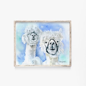 Alpacas Watercolor Painting Giclee Print Reproduction 10 x 8 - Alpaca Art - 11 x 8.5 UNFRAMED