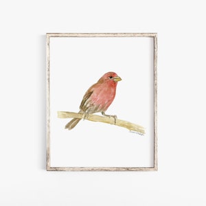 House Finch Watercolor Painting - Fine Art Giclee Reproduction - Woodland Animal Nursery Wall Decor Unframed