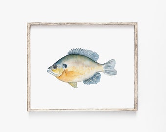 Watercolor Bream Fish Painting Giclee Reproduction Fine Art - Fishing Fisherman Wall Art Unframed