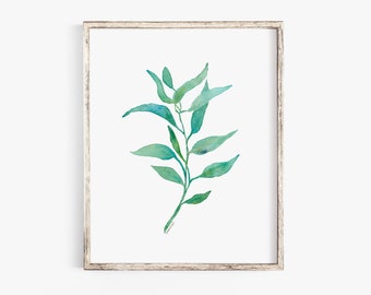 Eucalyptus 2 Botanical Watercolor Painting Giclee Print Fine Art Print UNFRAMED