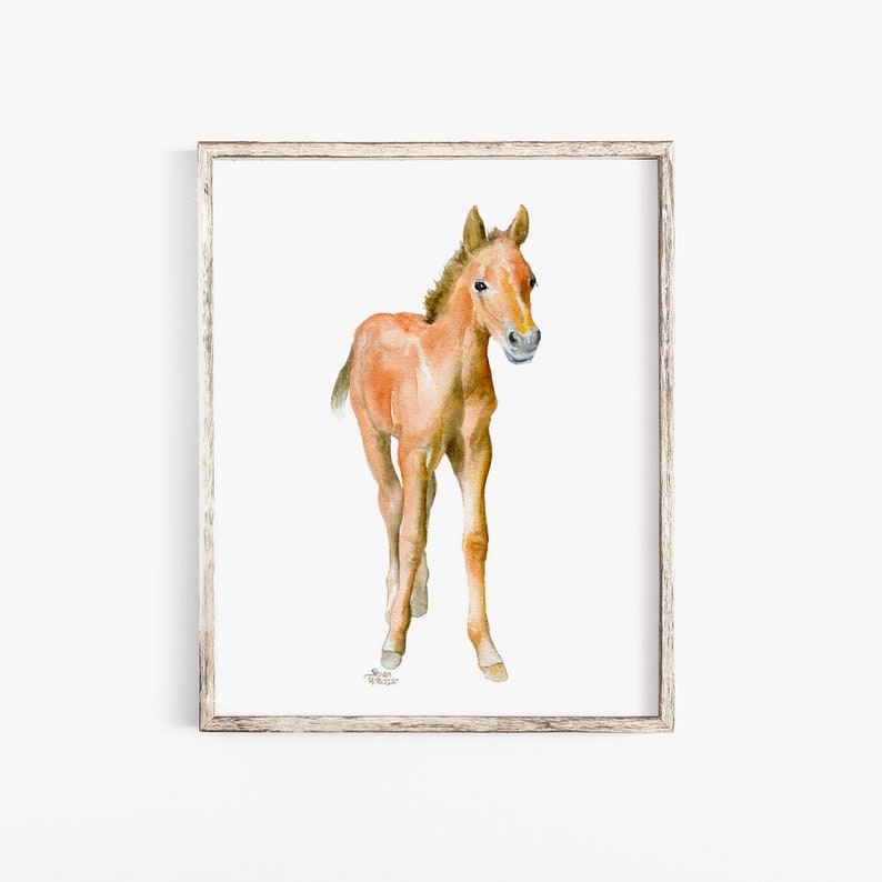 Horse Watercolor Painting Print Giclee Print Nursery Art Pony Colt Foal Art UNFRAMED image 1