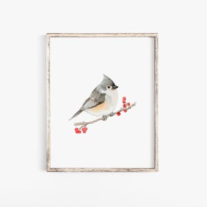 Tufted Titmouse Watercolor Painting Fine Art Print Large Poster size UNFRAMED