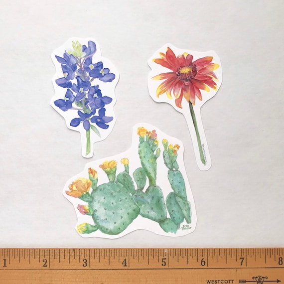 Texas Wildflowers Watercolor Vinyl Sticker Set - Bluebonnet, Indian Blanket, Prickly Pear - For Water Bottles Laptops
