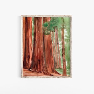 Sequoia National Park Watercolor Fine Art Print - UNFRAMED